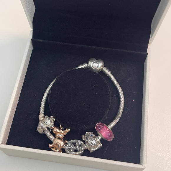 Pandora 925 silver bracelet with 5 charms reindeer owl free hugs cactus cancer - Picture 1 of 9